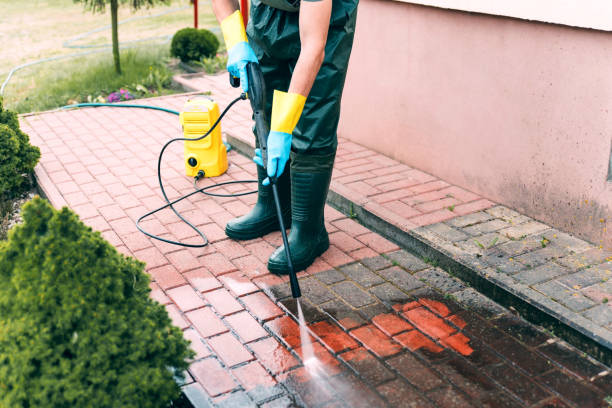 Best Roof Power Washing Services  in Bowdon, GA